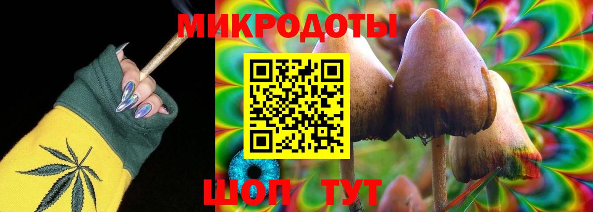 Псилоцибиновые грибы мухоморы Комсомольск-на-Амуре
